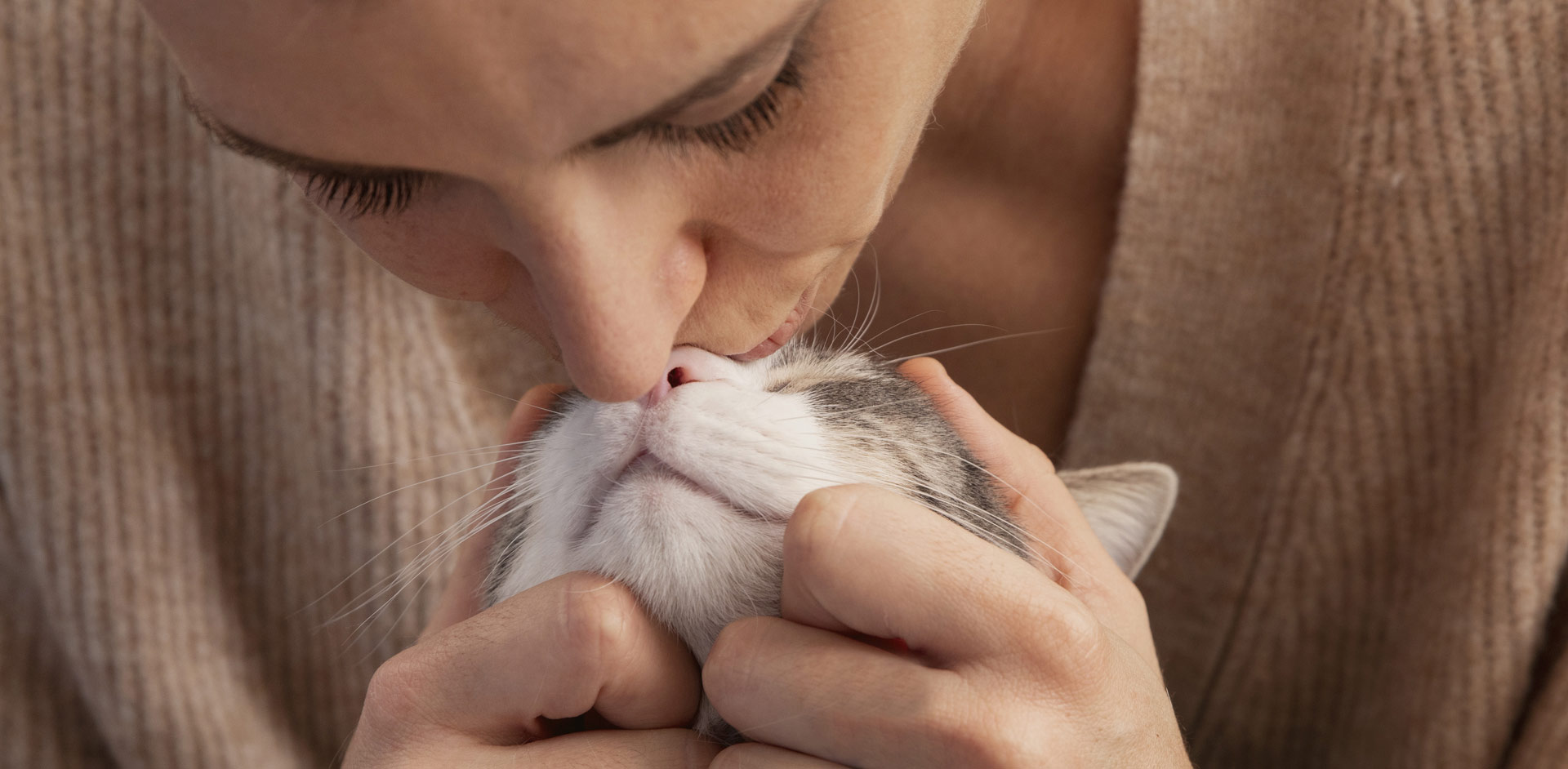 中寵食品股份有限公司